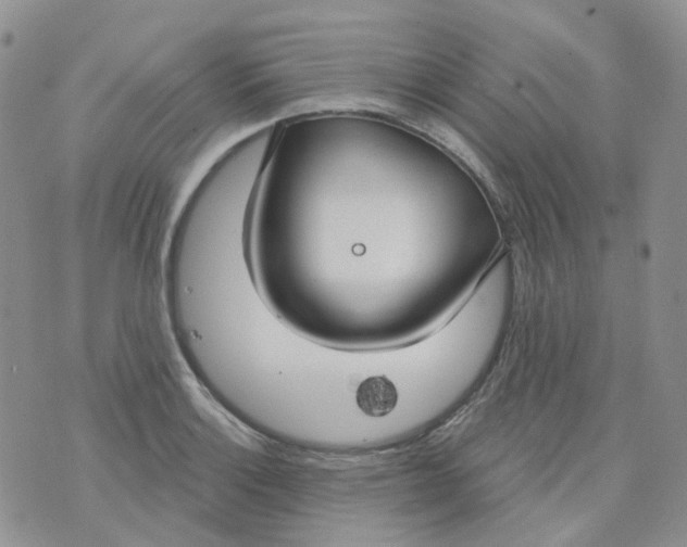 X0000073931132200609011828