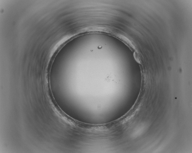 X0000073931133200609011828