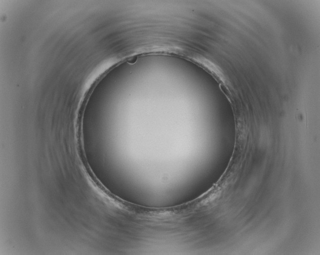 X0000073931135200609011828