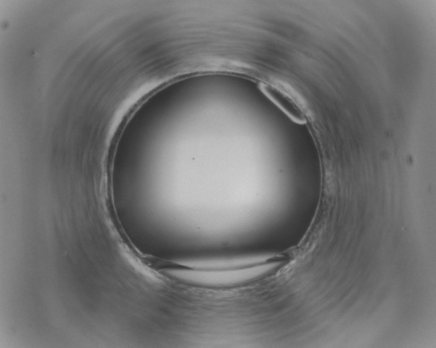 X0000073931136200609011828