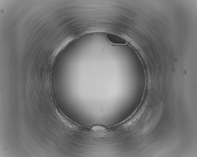 X0000073931137200609011828