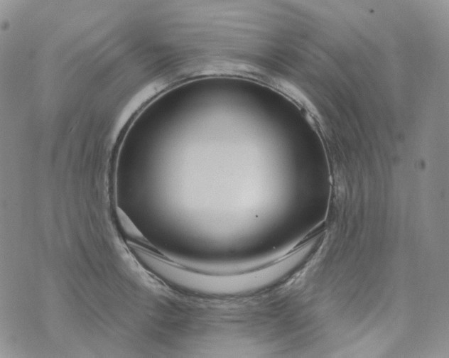 X0000073931138200609011828