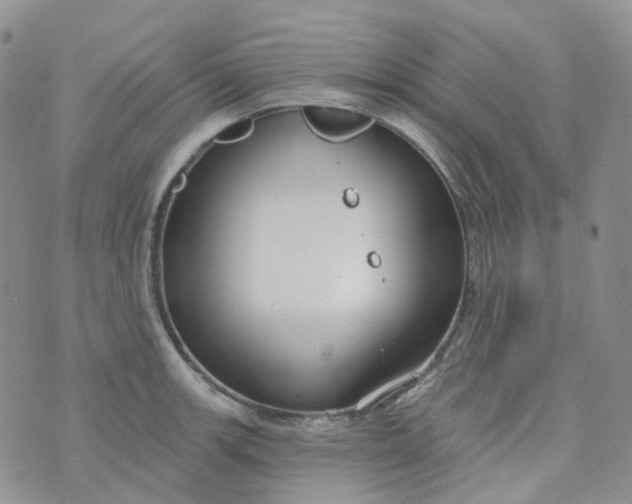 X0000073931139200609011828