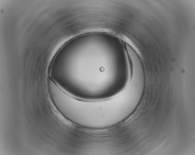 X0000073931140200609011828