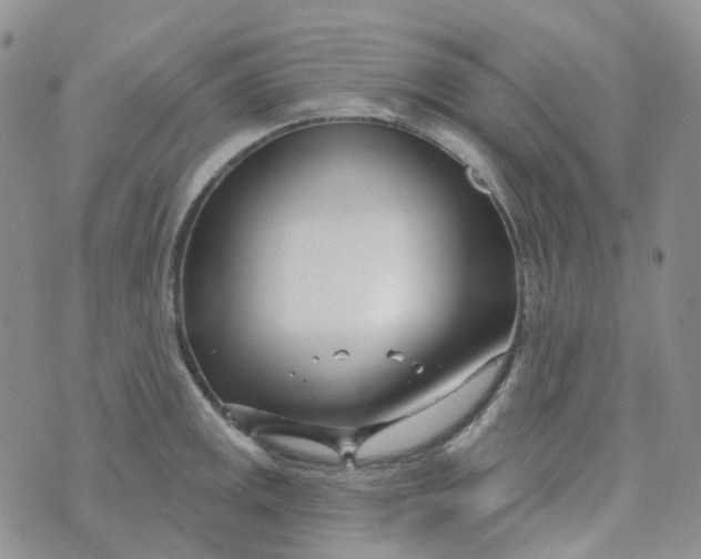 X0000073931141200609011828