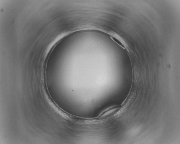 X0000073931142200609011828