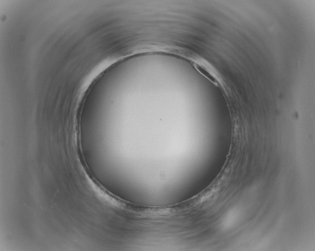 X0000073931143200609011828