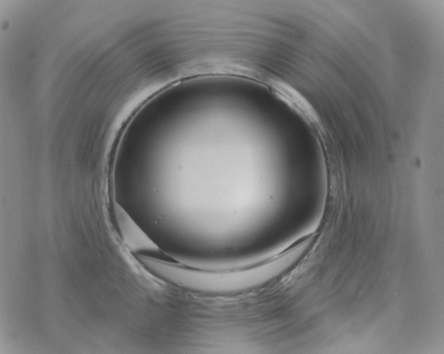 X0000073931144200609011828