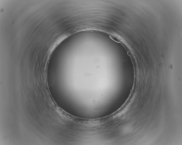 X0000073931145200609011828