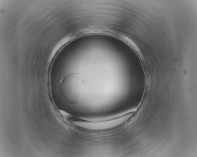 X0000073931146200609011828