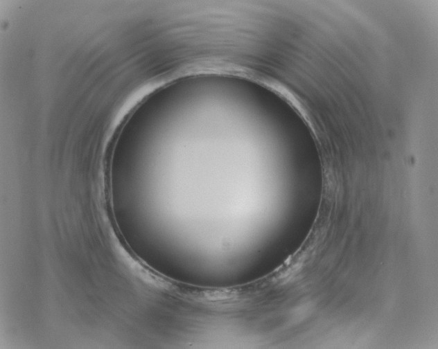 X0000073931147200609011828