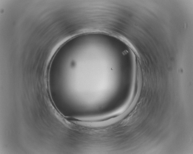 X0000073931148200609011828