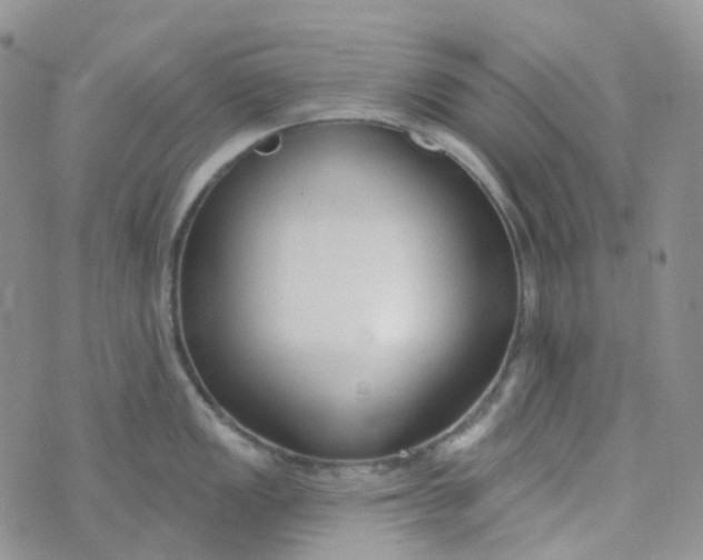 X0000073931149200609011828