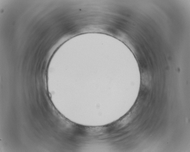 X0000073931150200609011828