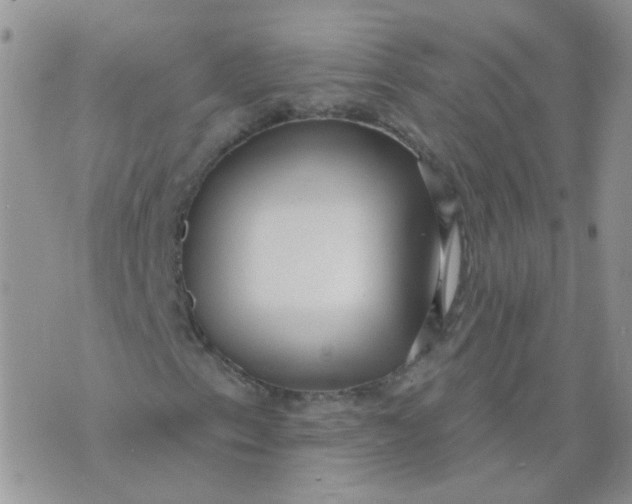 X0000073931153200609011827