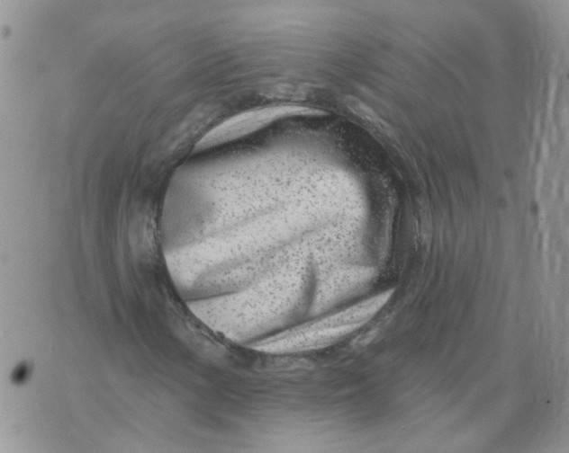 X0000073931154200609011827