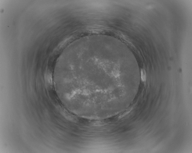 X0000073931155200609011827