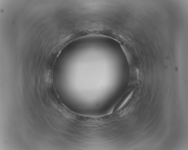 X0000073931156200609011827