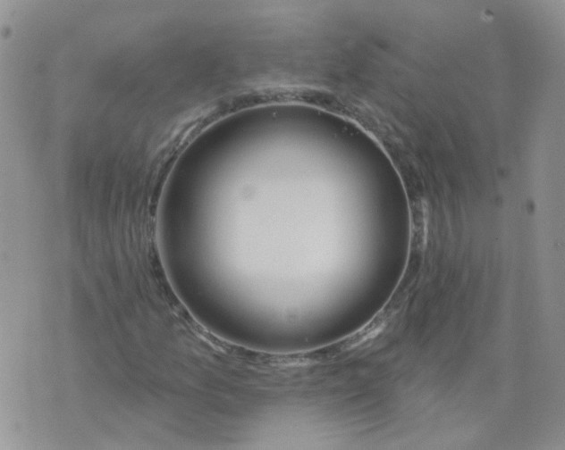 X0000073931157200609011827