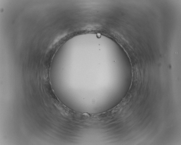 X0000073931158200609011827