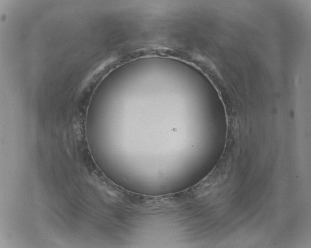 X0000073931159200609011827