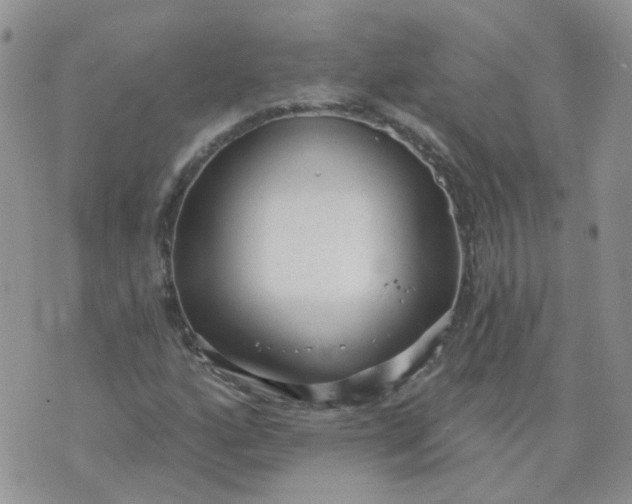 X0000073931160200609011827