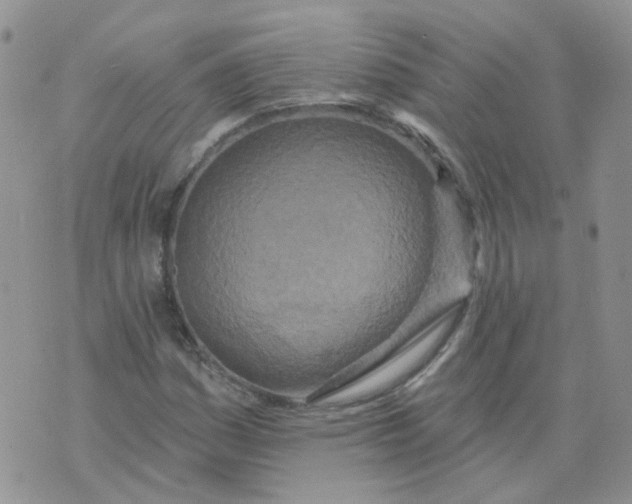 X0000073931161200609011827