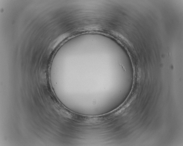 X0000073931162200609011827