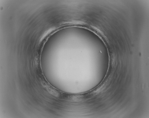 X0000073931163200609011827