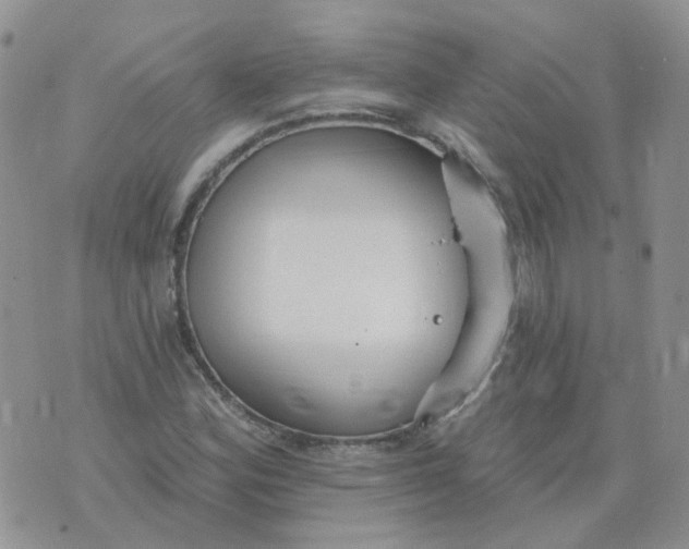 X0000073931164200609011827