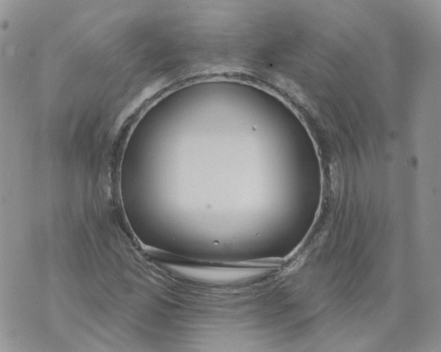 X0000073931165200609011827