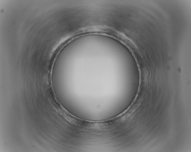 X0000073931166200609011827