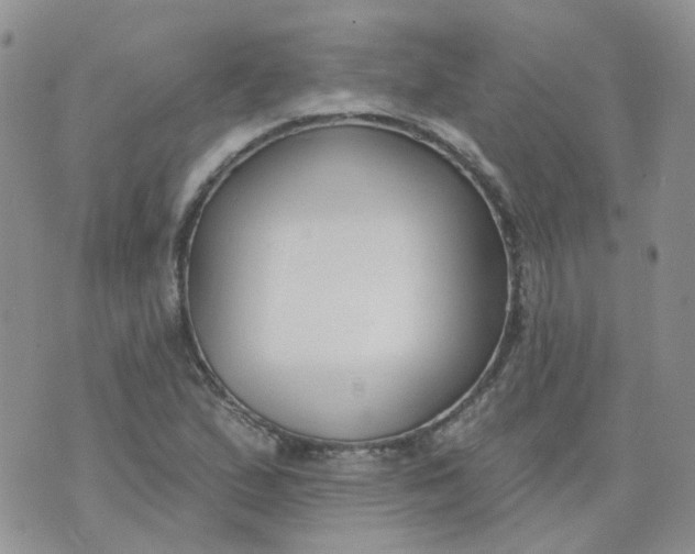 X0000073931167200609011827