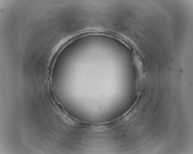 X0000073931168200609011827