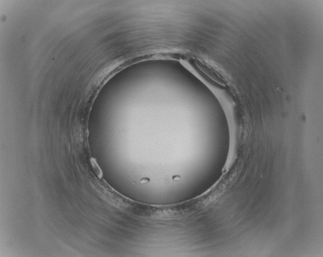 X0000073931169200609011827