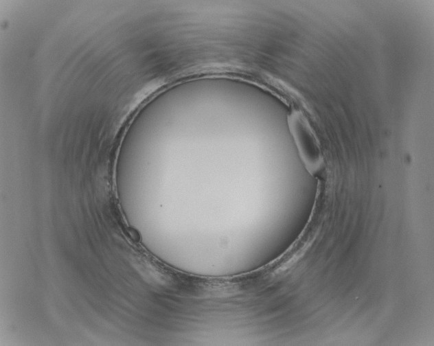 X0000073931170200609011827