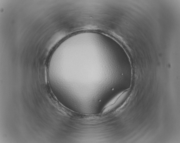 X0000073931171200609011827