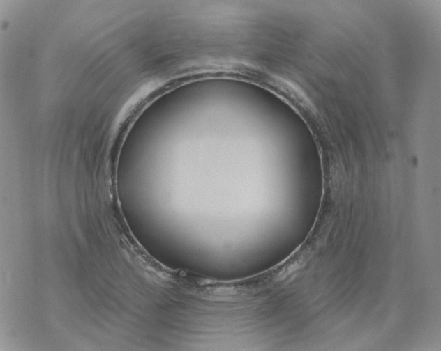 X0000073931172200609011827