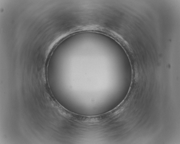 X0000073931174200609011827