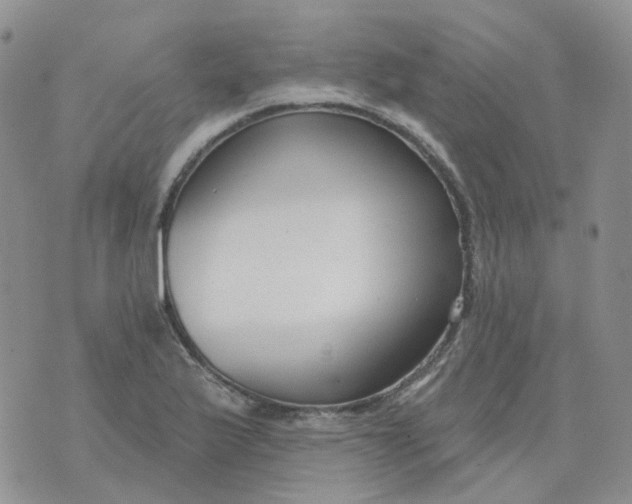 X0000073931175200609011827