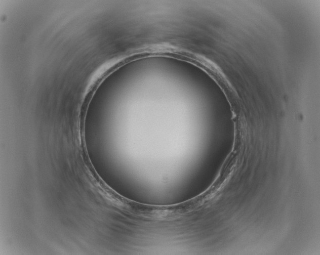 X0000073931176200609011827