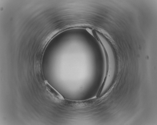 X0000073931177200609011827