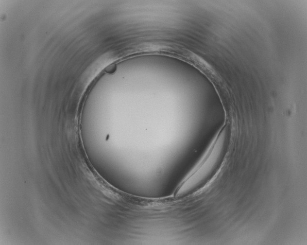 X0000073931178200609011827