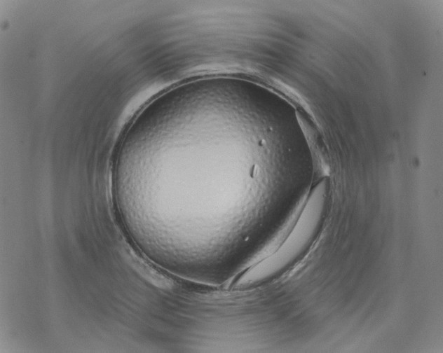 X0000073931179200609011827