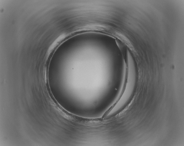 X0000073931180200609011827