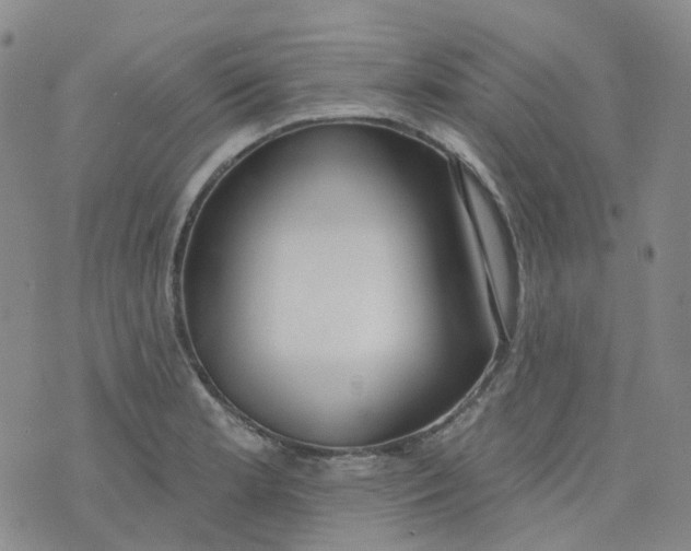 X0000073931181200609011827