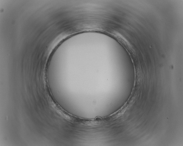 X0000073931182200609011827