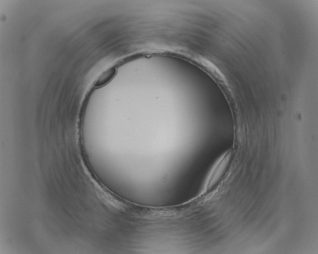 X0000073931183200609011827