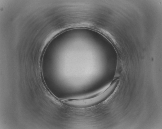 X0000073931184200609011827