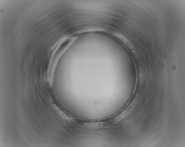 X0000073931185200609011827